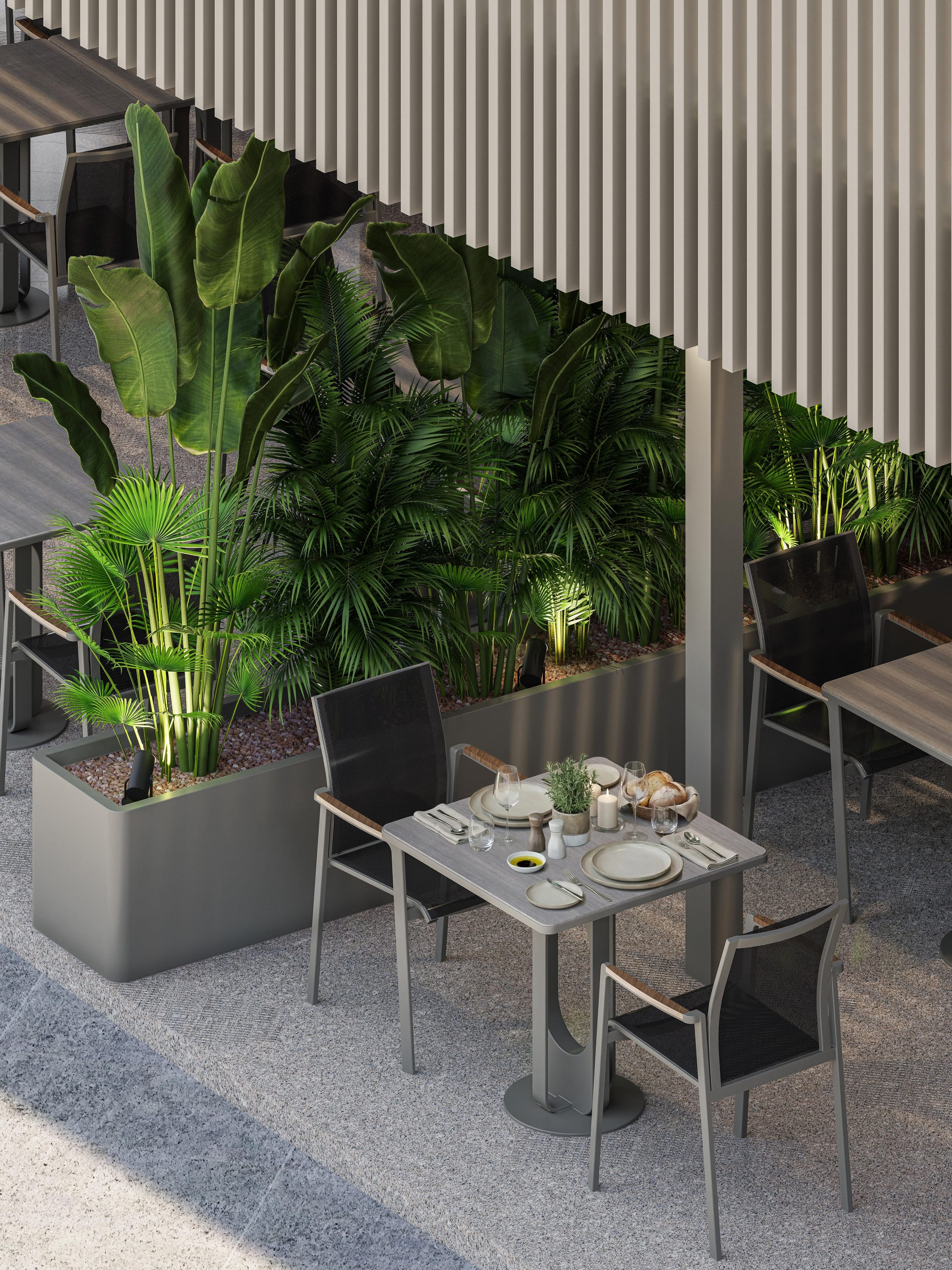 High view of a table for two beside a lit planter of palms under the slatted canopy.
