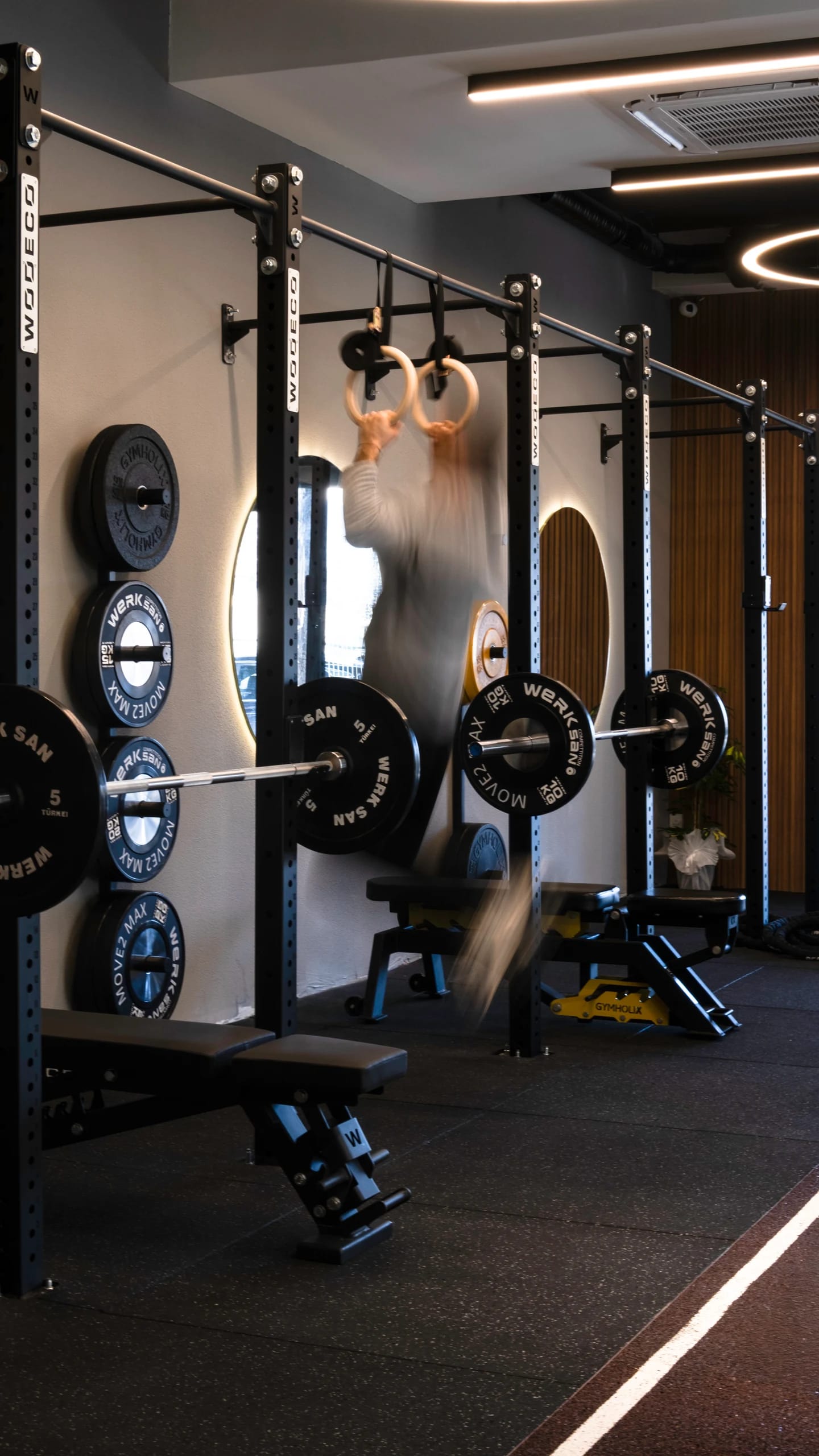 Gymnastic rings and strength training stations.