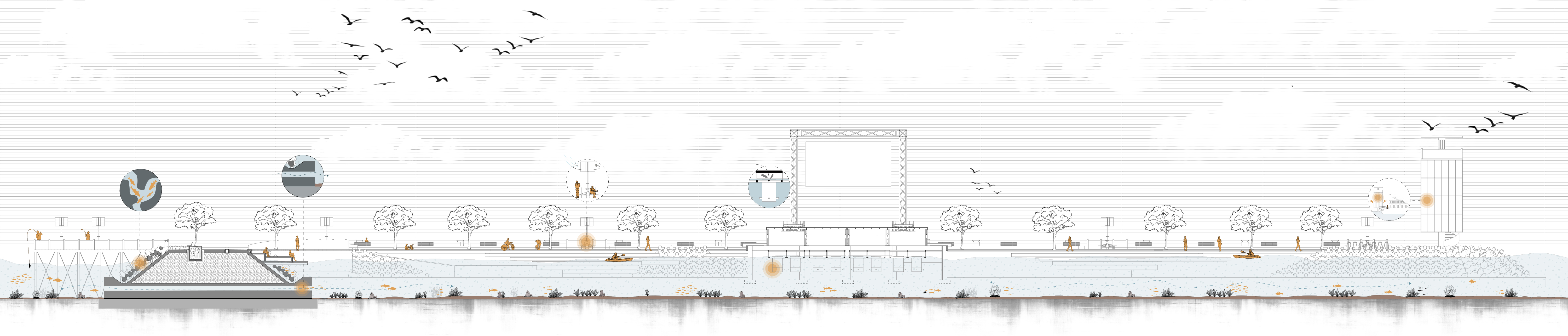 Long section through the breakwater, from the concrete block edge and fishing piers through the tree-lined walkway and inner basin with kayaks to the floating screen platform and the beacon tower, with seabed habitats below.