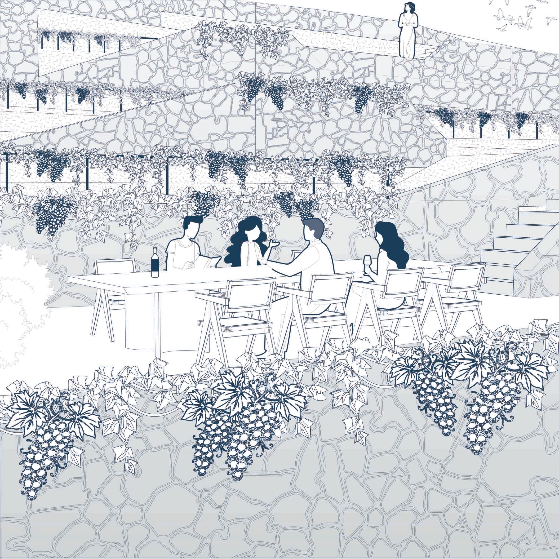 Line drawing of four friends with wine at a long table on a stone terrace, under pergolas heavy with grapes, with stairs leading up the terraced vineyard.
